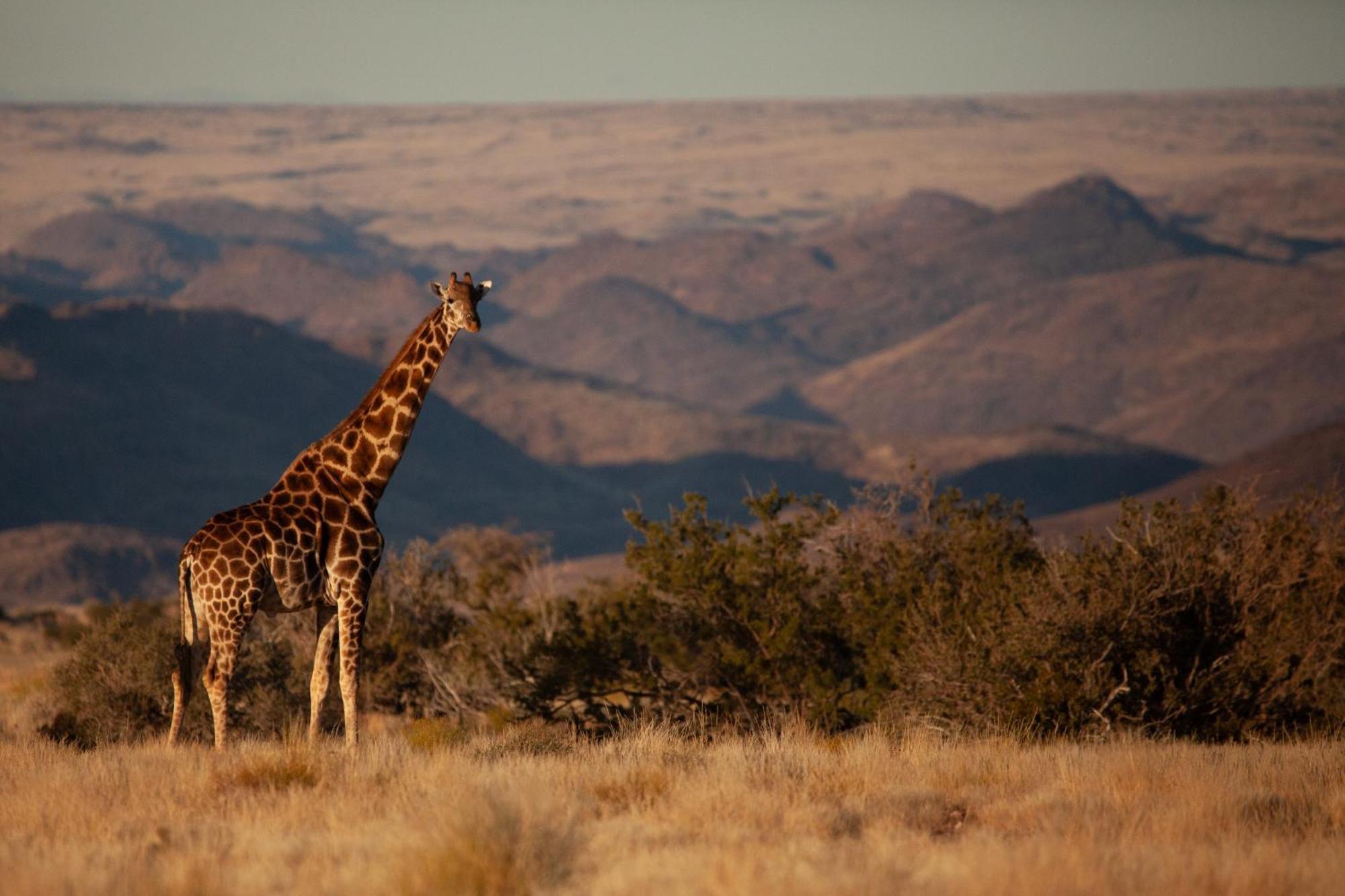 Sandfontein Lodge&Nature Reserve Exterior foto